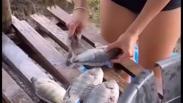 sarap ng pritong Tilapia🤤