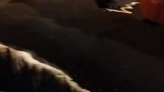 Lihat Ikan