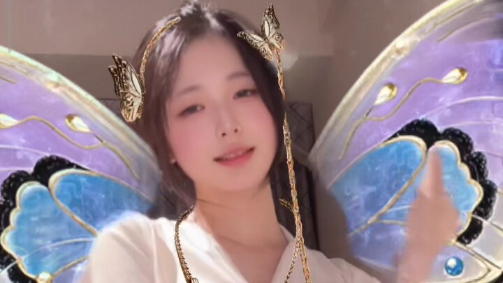 Con mèo tù tài năng ca hát và nhảy múa 2