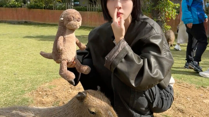 بكل جرأة ووضوح! أقدم لكم عائلتنا الجديدة، وأتمنى أن ترحبوا جميعًا بالزميل غير الأساسي ᕕ( ᐛ )ᕗ هل لدي