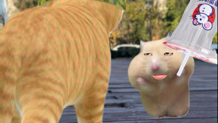 القط والفأر يتحادثان بذكاء في السوبرماركت