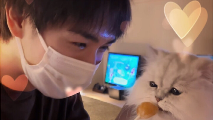 Semi-Immersive Amateur Cat-Cuddling