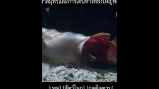 5555ขำได้ใจมาก