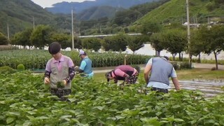 GBRB Reap What You Sow E01 Eng Sub
