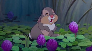 【Lu Chen】Dad takes care of his child, the little rabbit's famous quotes on foraging