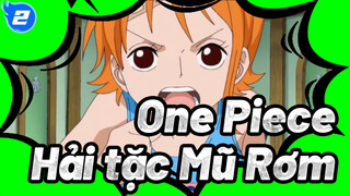One Piece
Hải tặc Mũ Rơm_2