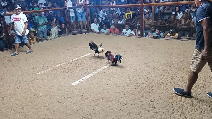 3hits ulotan 2nd fyt JJV GF win