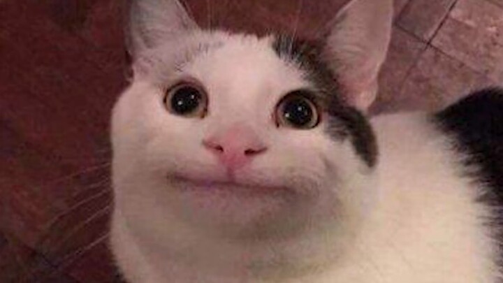 عندما يخترق قرصان كلمة مرورك