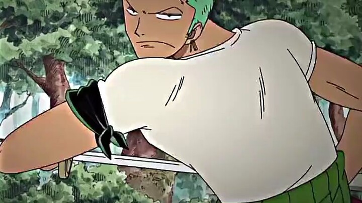 zoro kocak banget 😂🗿