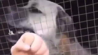 ได้ยินไหม? โว่ เหนิ่น เตี่ย
