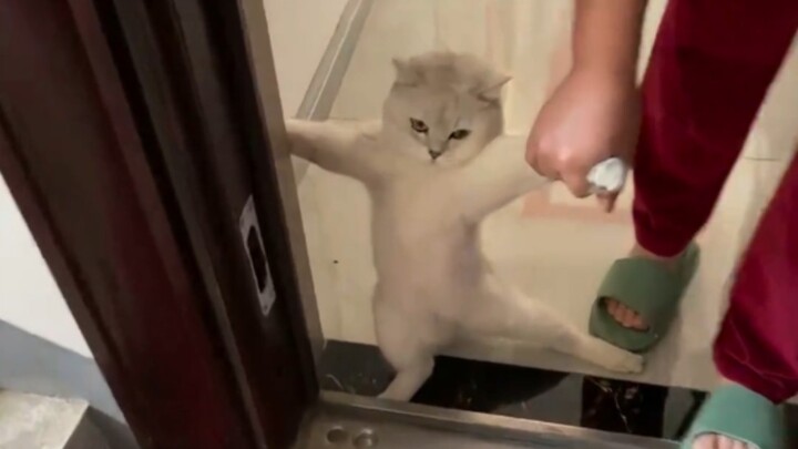 “I’m not going out, I’m not!”