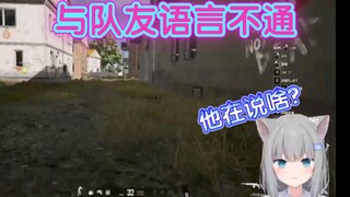 【甘城なつき】与队友语言不通的猫猫 一局下来都只能和聊天室交流!