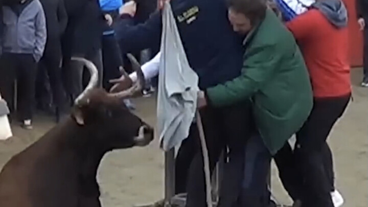 With majestic spirit piercing the stars, I vow to repay my lord's vengeance with unwavering integrit