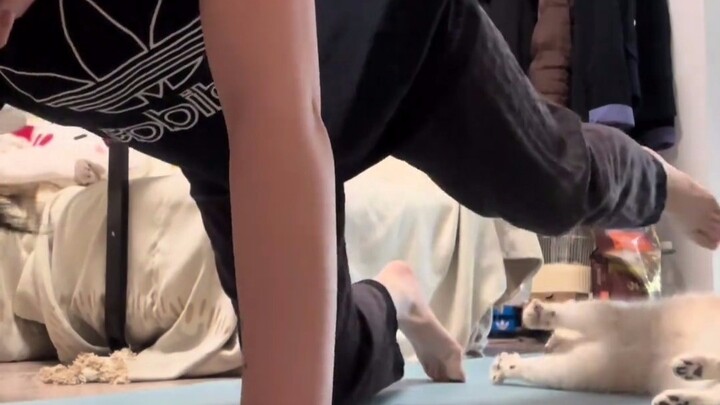 小猫：我看看哪里能添添乱