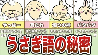 うさぎ語を徹底分析！うさぎの口癖まとめ【ゆっくり解説】