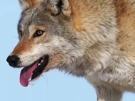 Con người, giờ thì hài lòng rồi chứ?