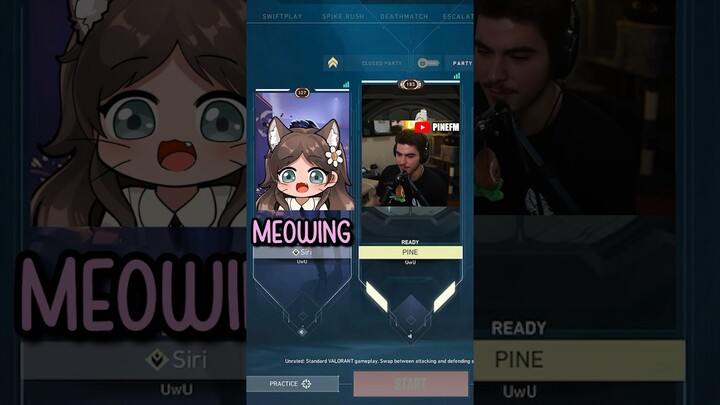 SIRI makes everyone MEOW for PINE…