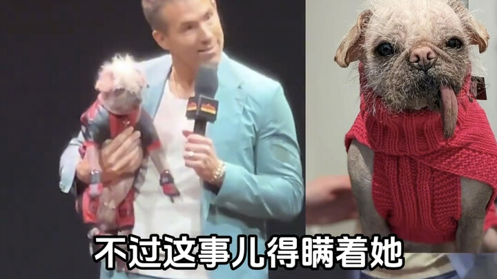 That! Dog! Is! Real!