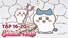 Chiikawa vietsub tập 16-20