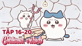 Chiikawa vietsub tập 16-20