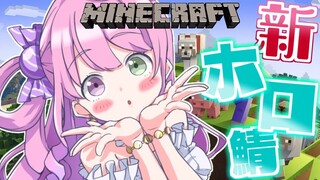 【 Minecraft 】🔰マイクラ100億年ぶり！新ホロ鯖に降り立ってみたのら！【姫森ルーナ/ホロライブ】