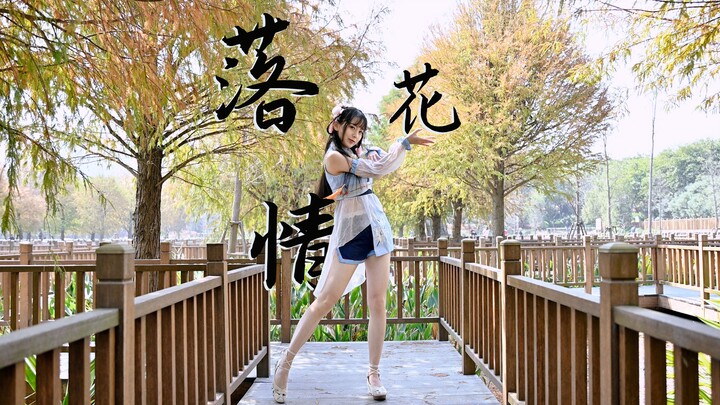 【筱落】落花情（竖屏 ）只为了可以离你更近些