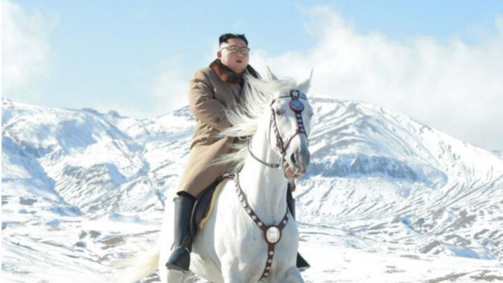 What girls want to ride a white horse VS what boys want to ride a white horse