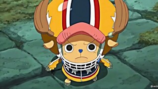 chopper fav saiaa