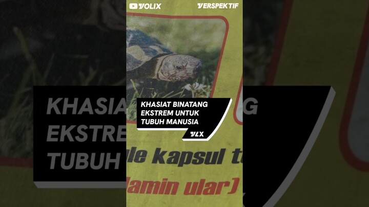 KHASIAT BINATANG EKSTREM UNTUK TUBUH MANUSIA