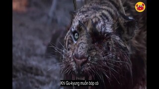 Review Phim: The Tiger An Old Hunter's Tale | Ông chú cứu con hổ 1 mắt, 16 năm sau nhận cái kết  !!