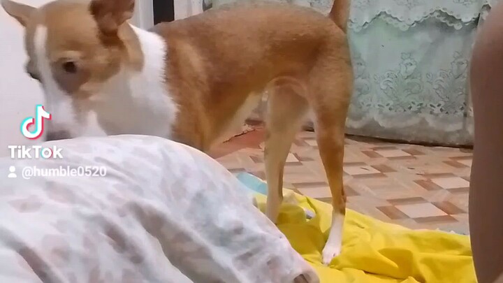 Babae ka Lexie bakit ka Ganyan