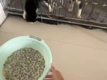 Seorang tuna netra, seorang tuna rungu, seorang penderita lumpuh