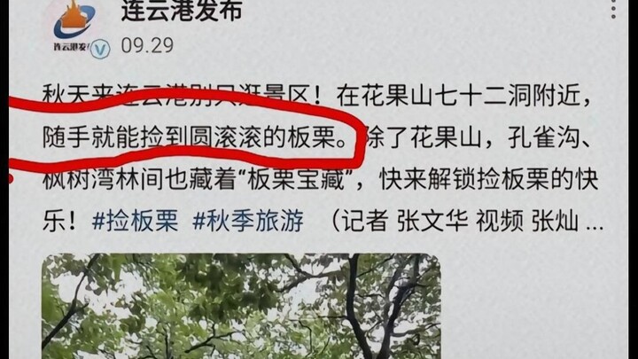 Peristiwa Ajaib Hari Nasional: Sebuah Kulit Chestnut Bikin Upaya Pariwisata Lianyungang Sepanjang Ta