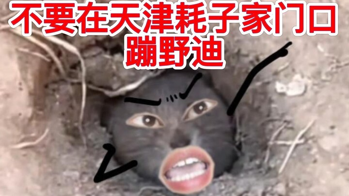 Tolong lindungi tikus Tianjin