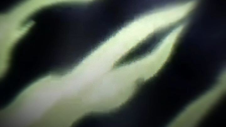 brook solo Yonko