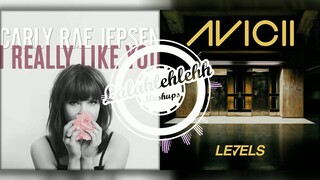 I Really Like Levels  - Avicii vs Carly Rae Jepsen (Mashup)