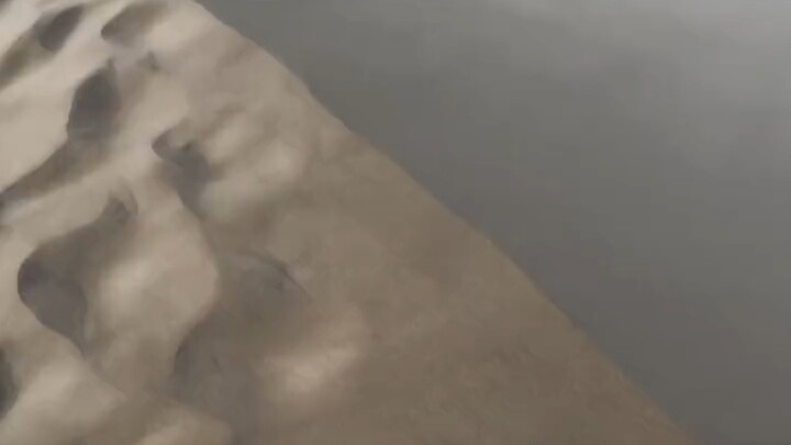 On my barren dunes, you are my last rose.