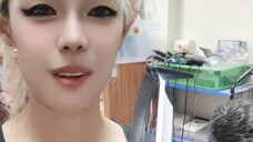 หวีเฟด