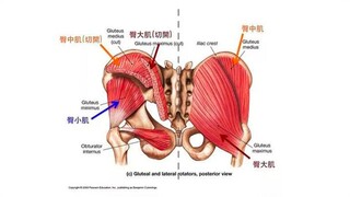 鼙鼓上下结构说
