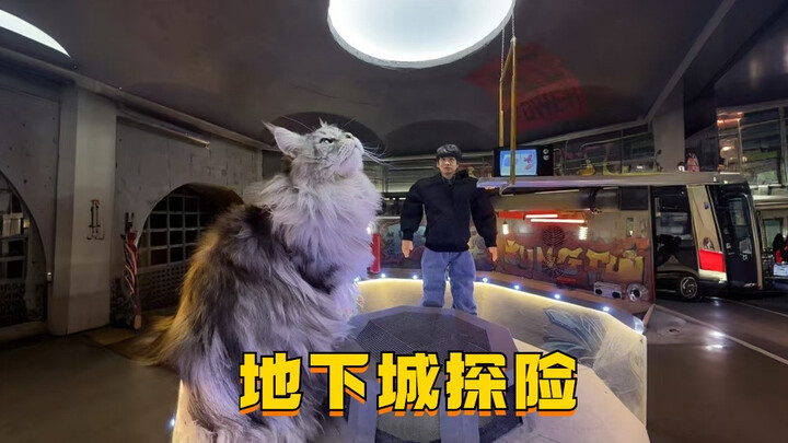 没大没小系列来啦 一起探险地下城