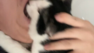 Aku baik-baik saja!! Hanya tersedak sedikit～