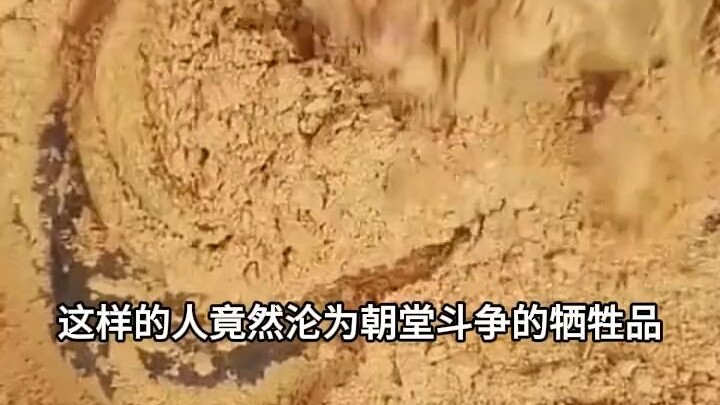 爹爹开门，我带剧本来救全家了 16