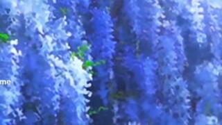 KUMPULAN ANIME AESTHETIC WAJIB NONTON SAMPAI SELESAI INI BIKIN TERPUKAU