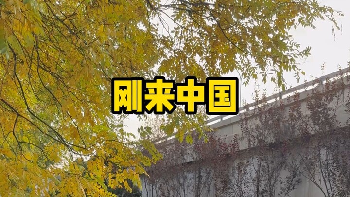 Baru pertama kali ke China vs sudah tinggal di China selama tiga tahun—siapa yang lebih mahir parkir