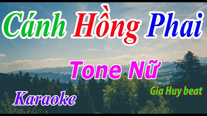 Cánh Hồng Phai - Karaoke - Tone Nữ - Nhạc Sống - gia huy beat