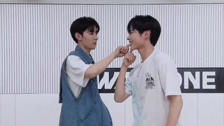 【ZB1】戳胸口！戳脸颊！跳双人舞夹带私货啊啊啊啊你们俩笑的好开心！！！！！！嗑鼠我算了 互跳jelly pop和hot summer