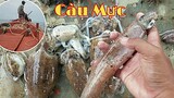 Ngư dân Việt Nam ''càu cá'' Bắt nhiều Mực Ống, Mực Nang, Mực Tuộc thấy mà mê