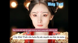 Nguyện bảo vệ nàng ,để nàng không bao giờ biết đến bi thương.Phim | HYTHN_ Nguyệt Hồng Thiên