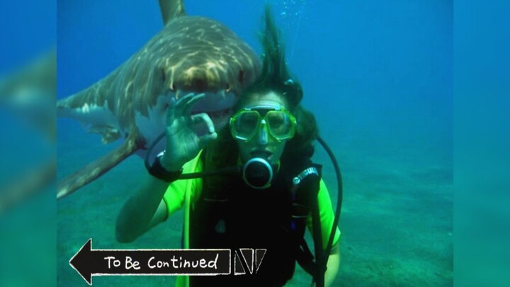 [Standard Ending] As Soon as This Song Starts, It’s Like Mom and Dad Raised Me for Nothing (A Pain B