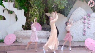 Bach Lão Sư múa "Đào hoa tiếu" cực dẻo, cực đẹp - Xem là mê ♥️《桃花笑》